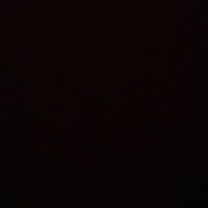 Meet your Posher, Darryl